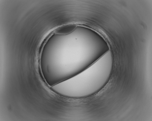 X0000113601124200909181103