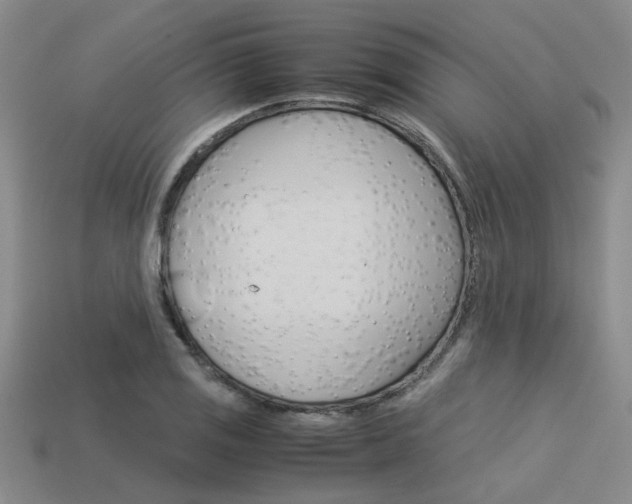 X0000113601125200909181103