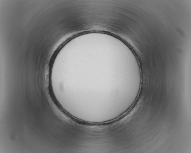 X0000113601126200909181103