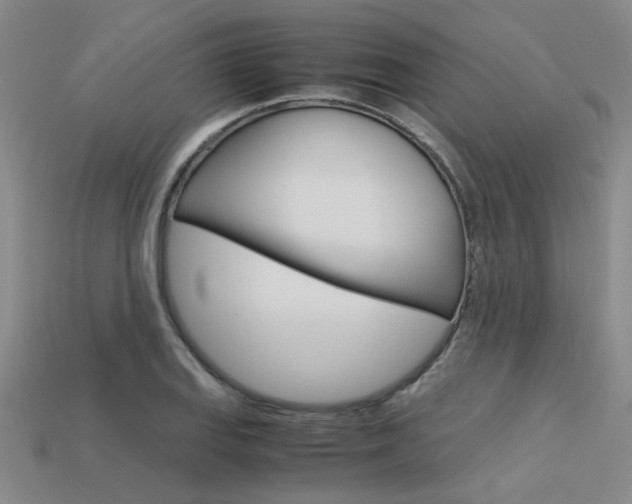X0000113601127200909181103