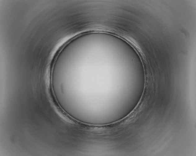 X0000113601128200909181103