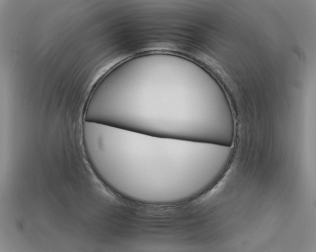 X0000113601129200909181103