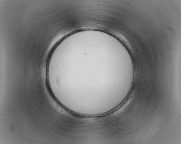 X0000113601130200909181103