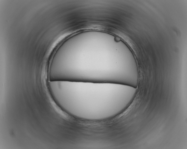 X0000113601131200909181103