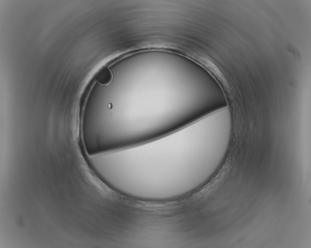 X0000113601132200909181103