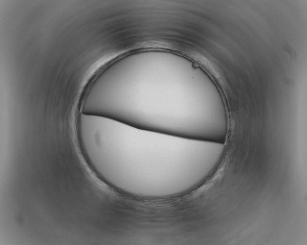 X0000113601133200909181103