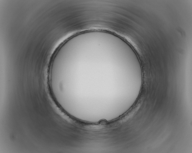 X0000113601134200909181103