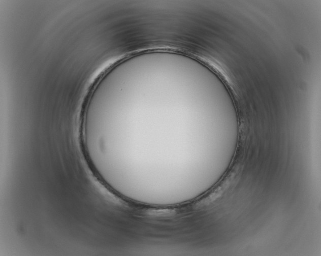 X0000113601135200909181103