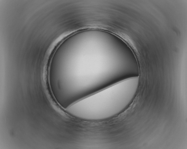 X0000113601136200909181103