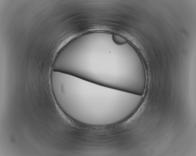 X0000113601137200909181103