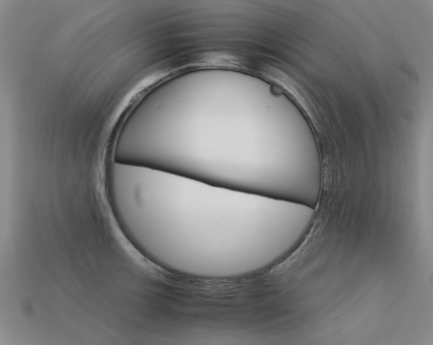X0000113601139200909181103