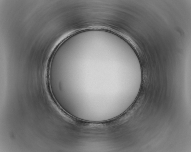 X0000113601142200909181103