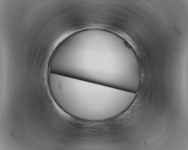 X0000113601143200909181103