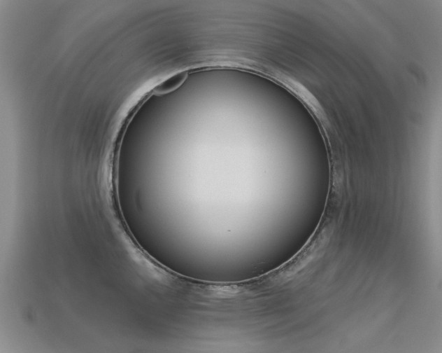 X0000113601144200909181103