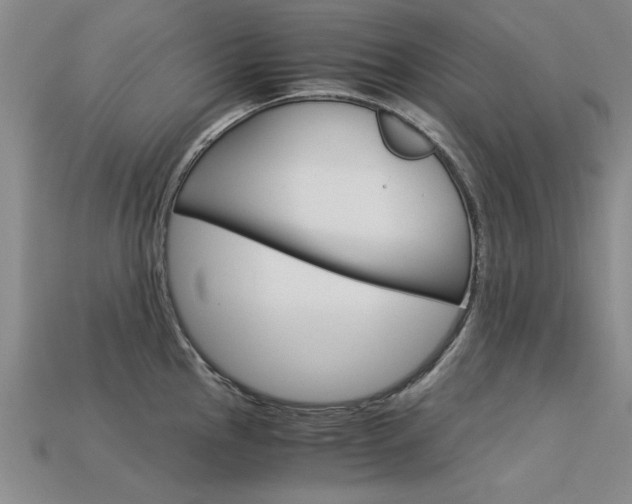 X0000113601145200909181103