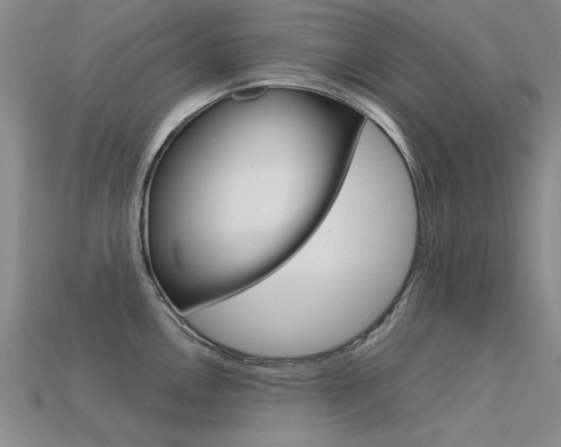 X0000113601146200909181103