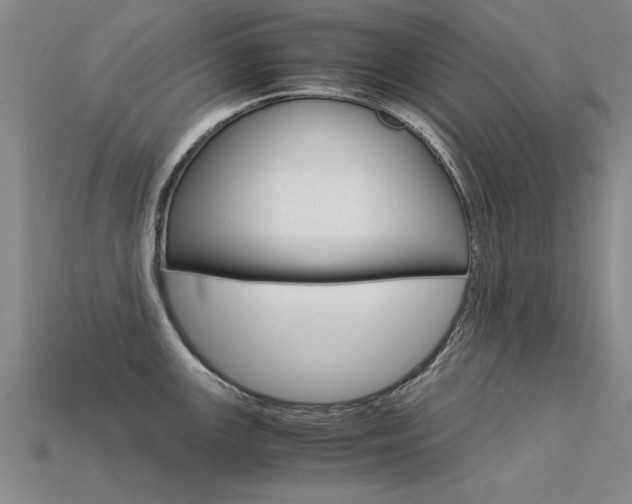 X0000113601147200909181103