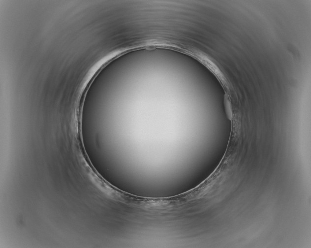 X0000113601148200909181103