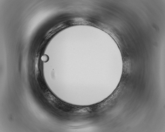 X0000113601150200909181103