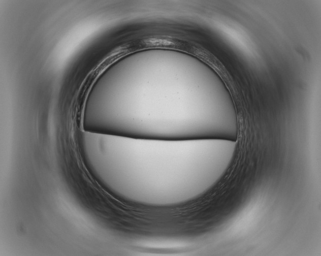 X0000113601151200909181103