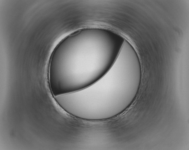 X0000113601152200909181103