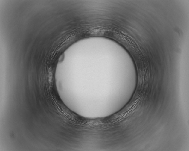 X0000113601154200909181103