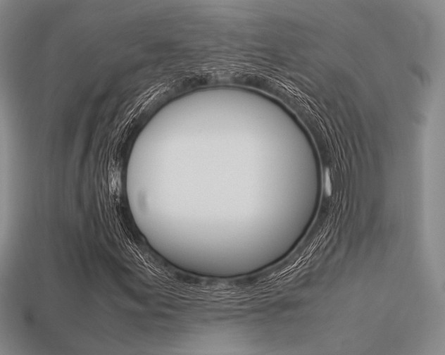 X0000113601155200909181103