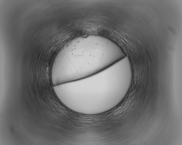 X0000113601156200909181103