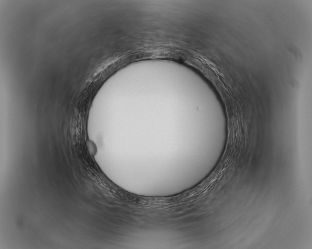 X0000113601158200909181102