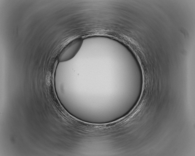 X0000113601161200909181102
