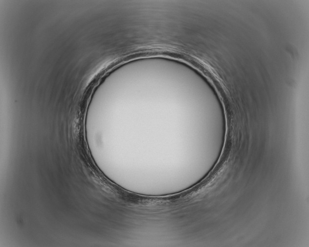 X0000113601163200909181102