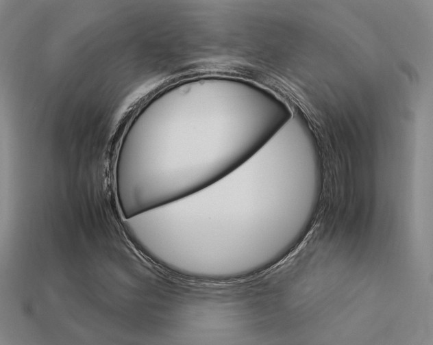 X0000113601164200909181102