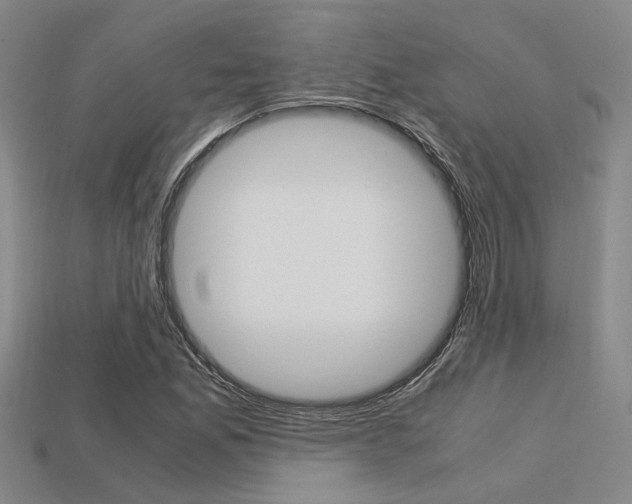 X0000113601165200909181102