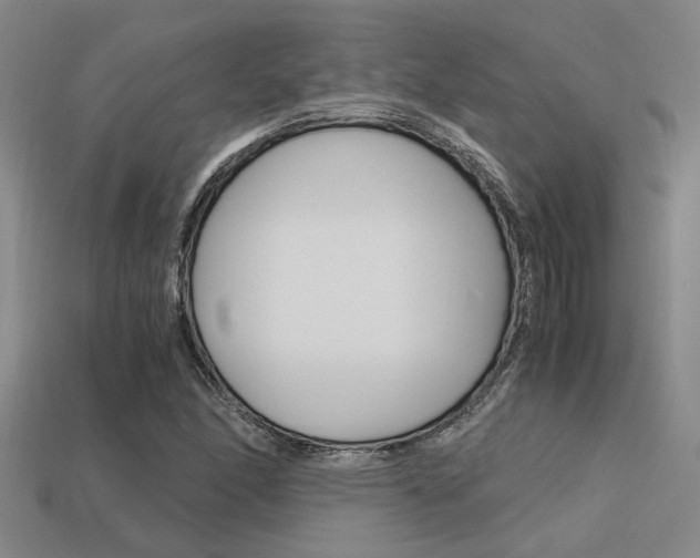 X0000113601166200909181102