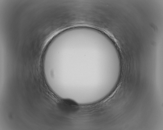 X0000113601167200909181102