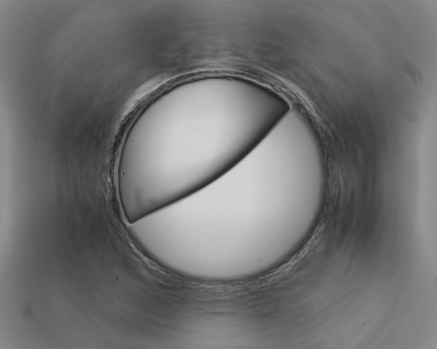 X0000113601168200909181102