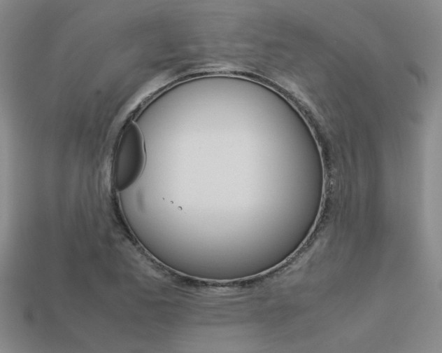 X0000113601173200909181102