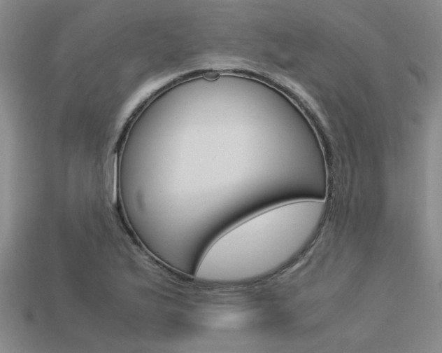 X0000113601175200909181102