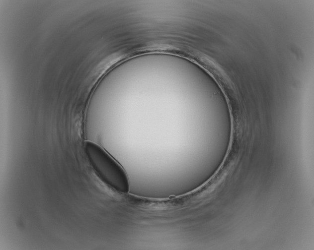 X0000113601177200909181102