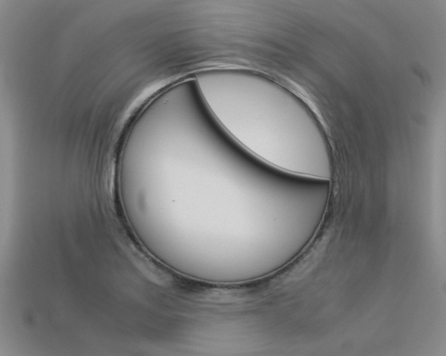 X0000113601179200909181102