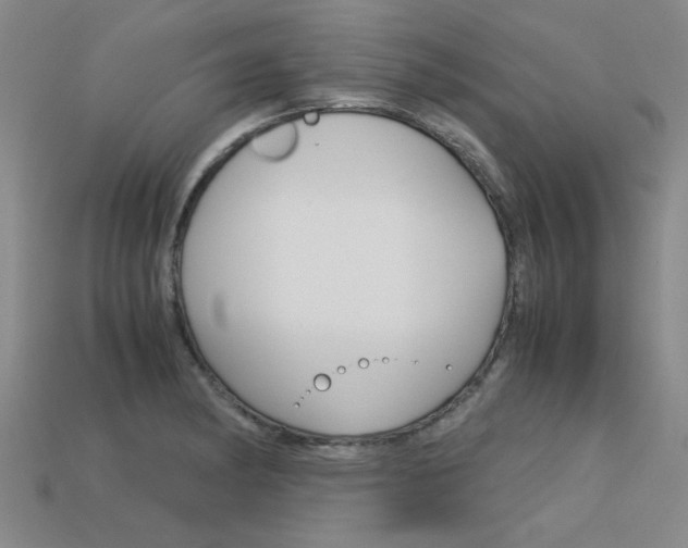 X0000113601182200909181102