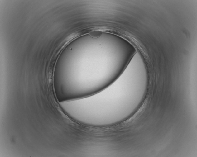X0000113601185200909181102
