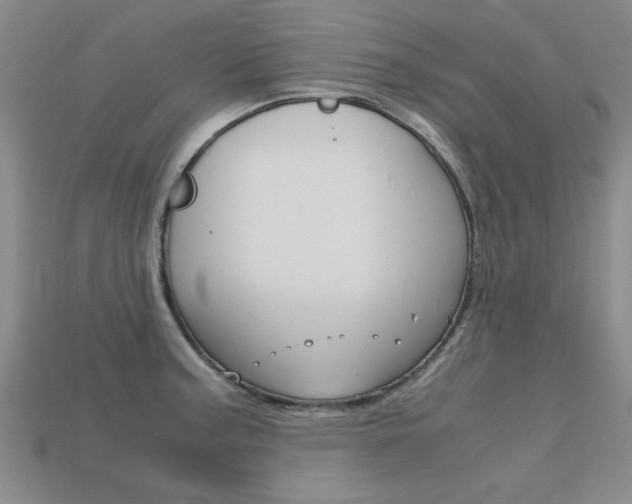 X0000113601187200909181102