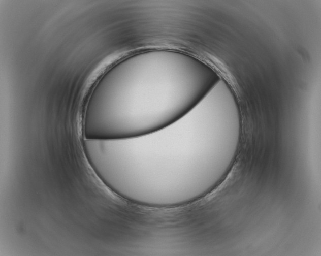 X0000113601188200909181102