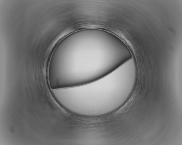 X0000113601189200909181102