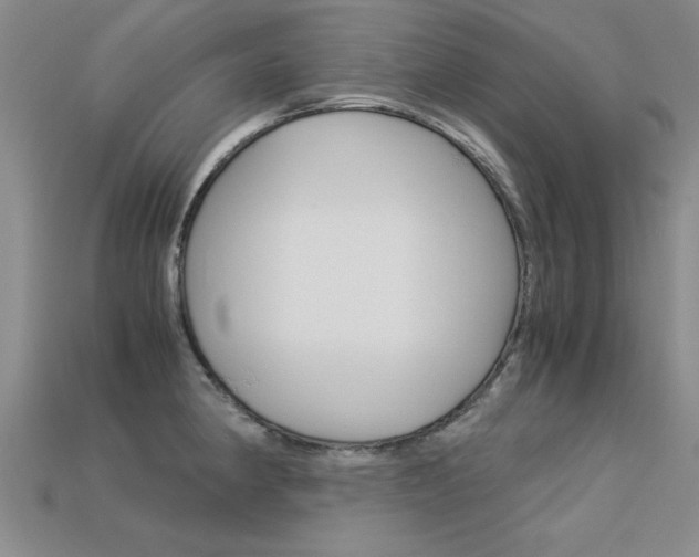 X0000113601190200909181102