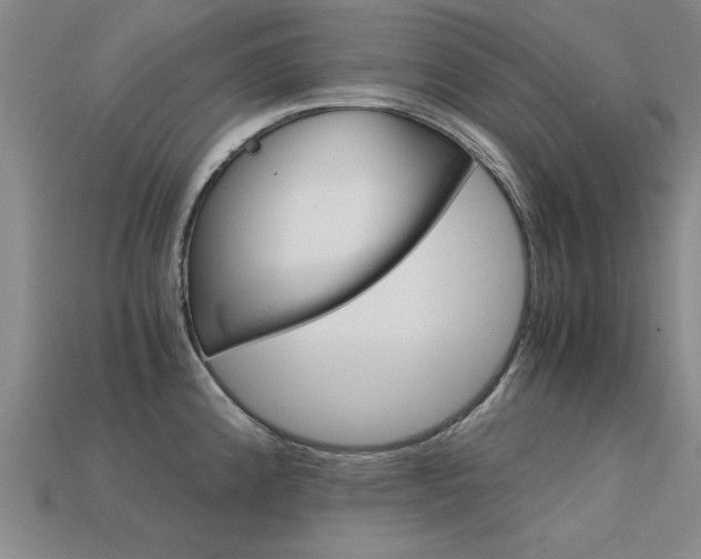 X0000113601192200909181102