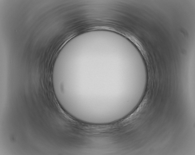 X0000113601193200909181102
