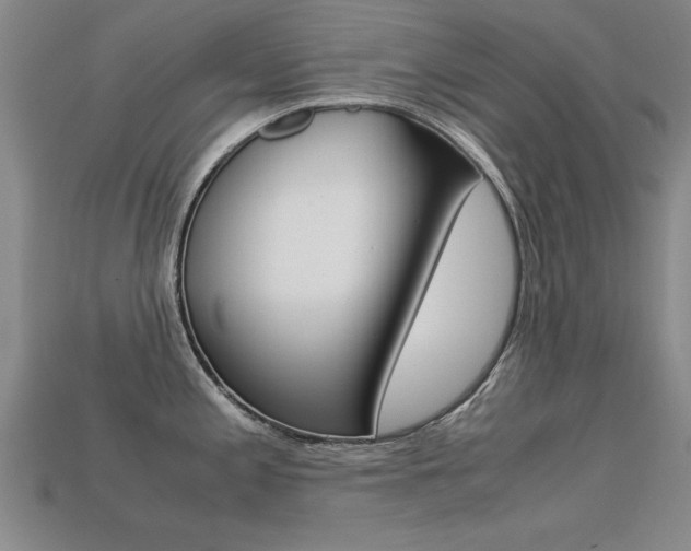 X0000113601197200909181102