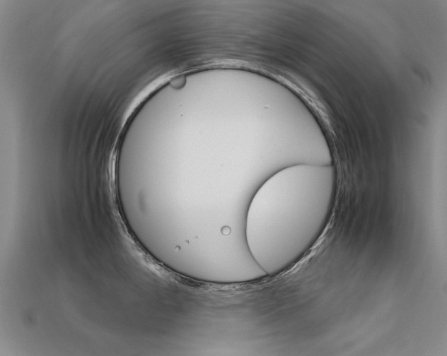 X0000113601198200909181102